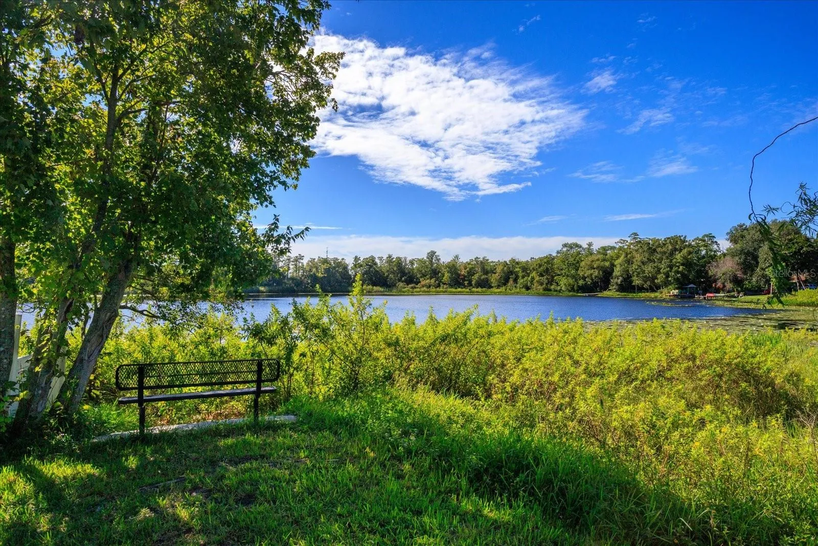 lake view