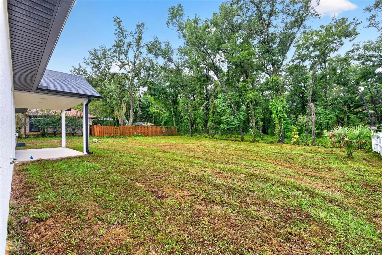 Backyard.