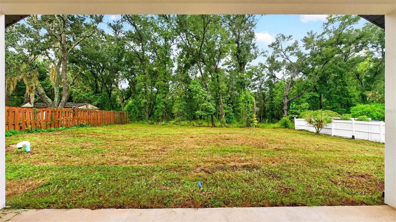 Backyard