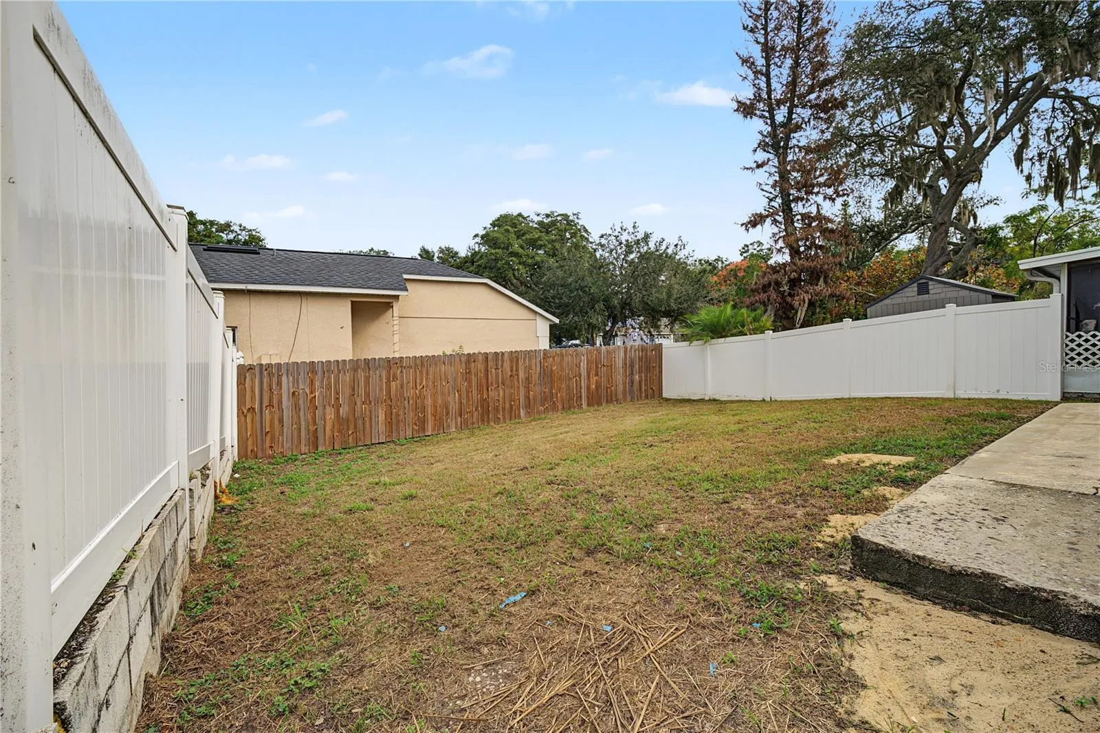 Backyard