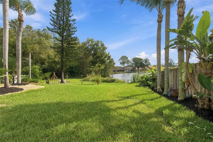 Back Yard /Lake