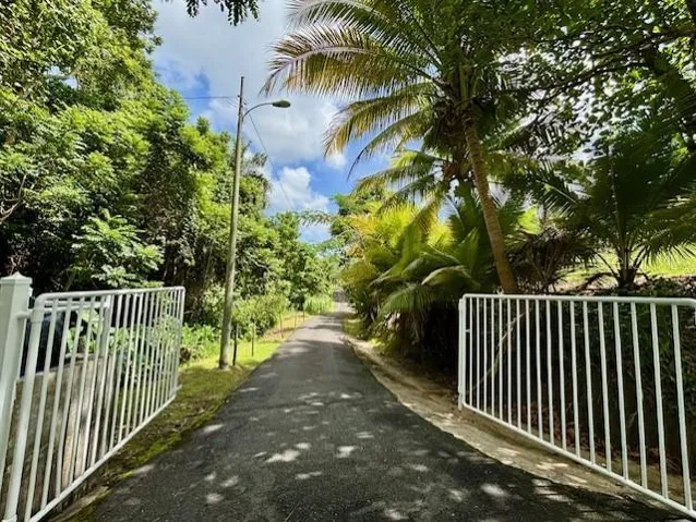 Entrace
