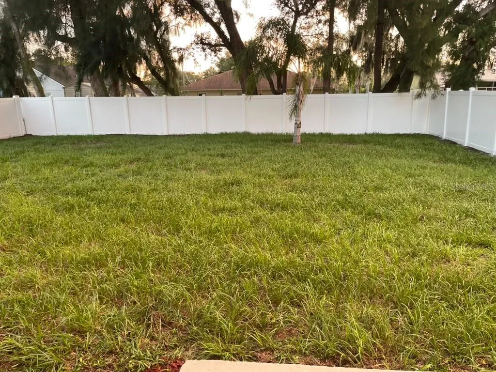 BACKYARD