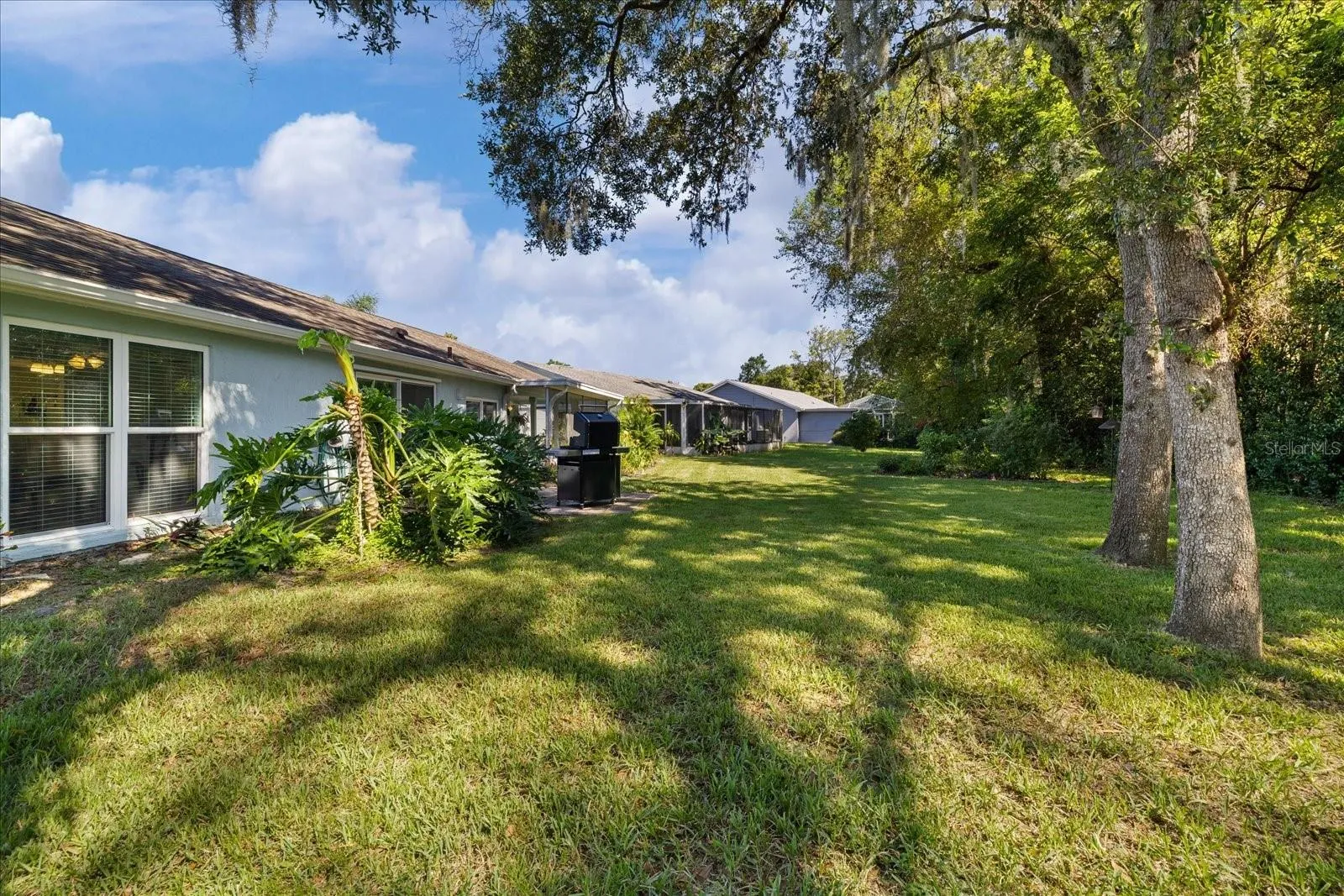 large oversized backyard