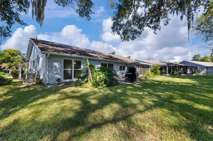 Large oversized backyard