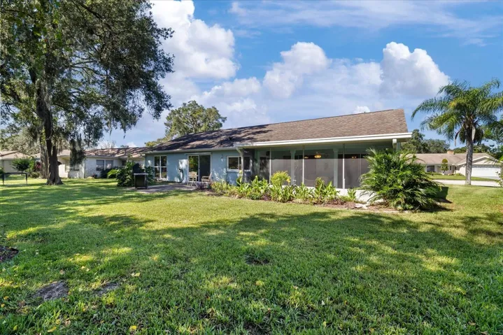 large oversized backyard