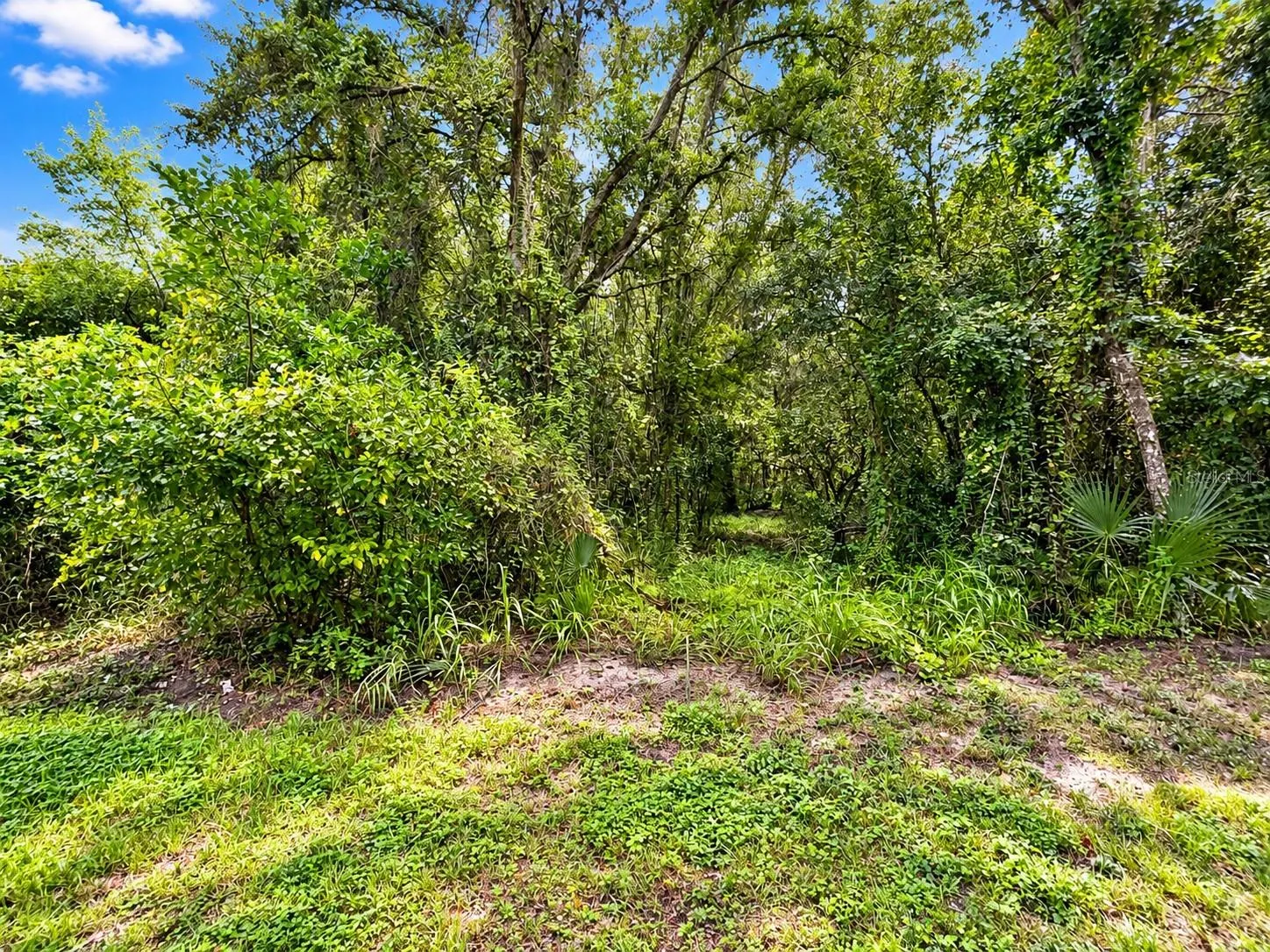 2.8 Acres