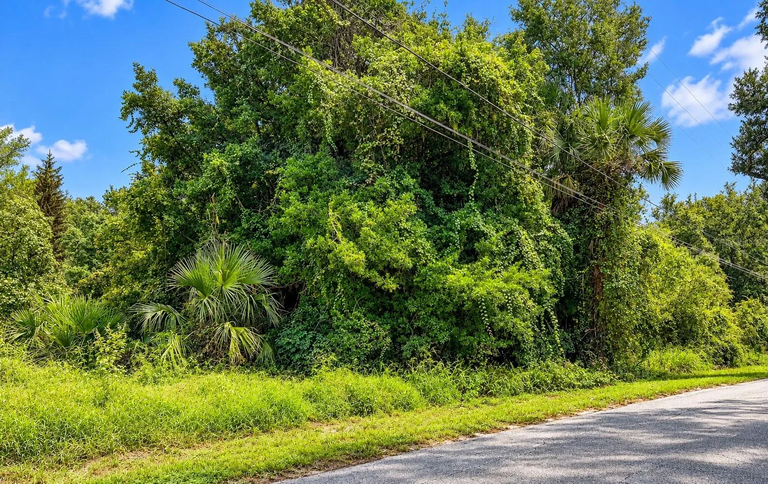 2.8 Acres
