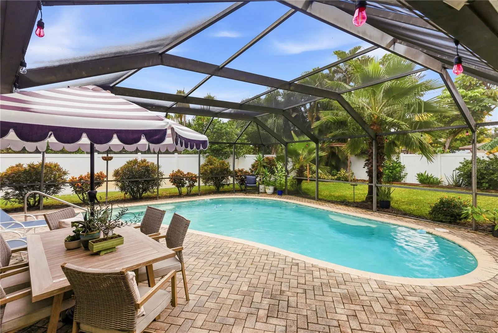 Pool view from sun room doorway