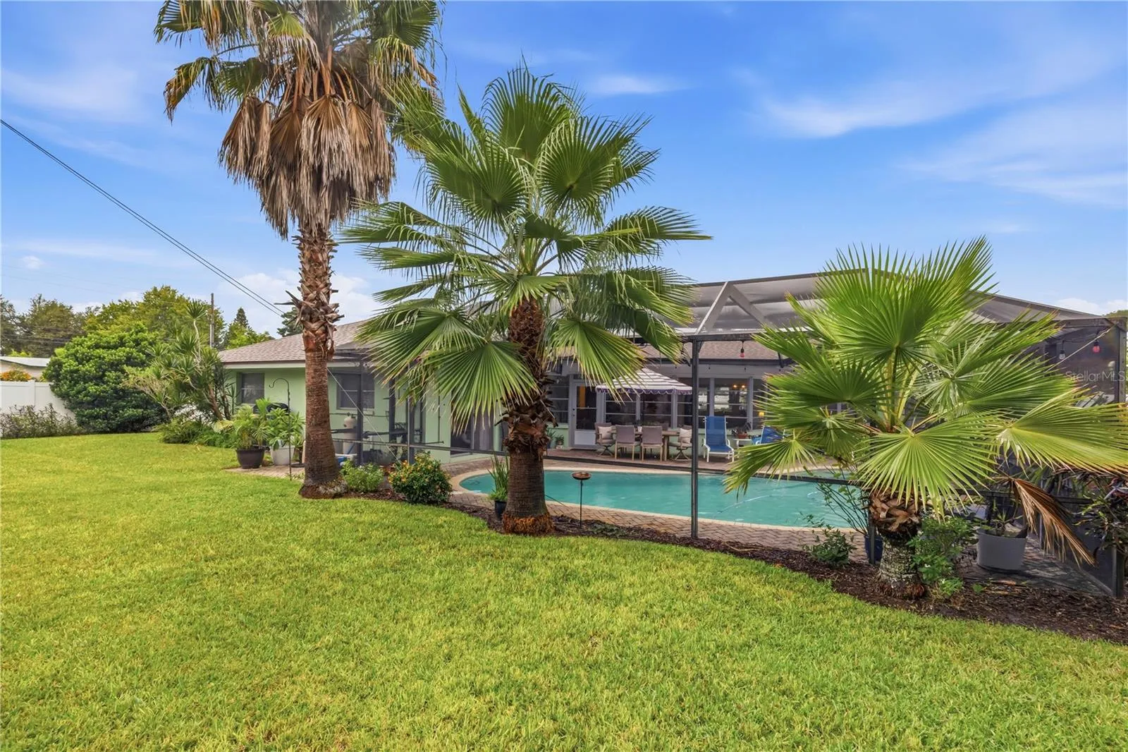 back yard