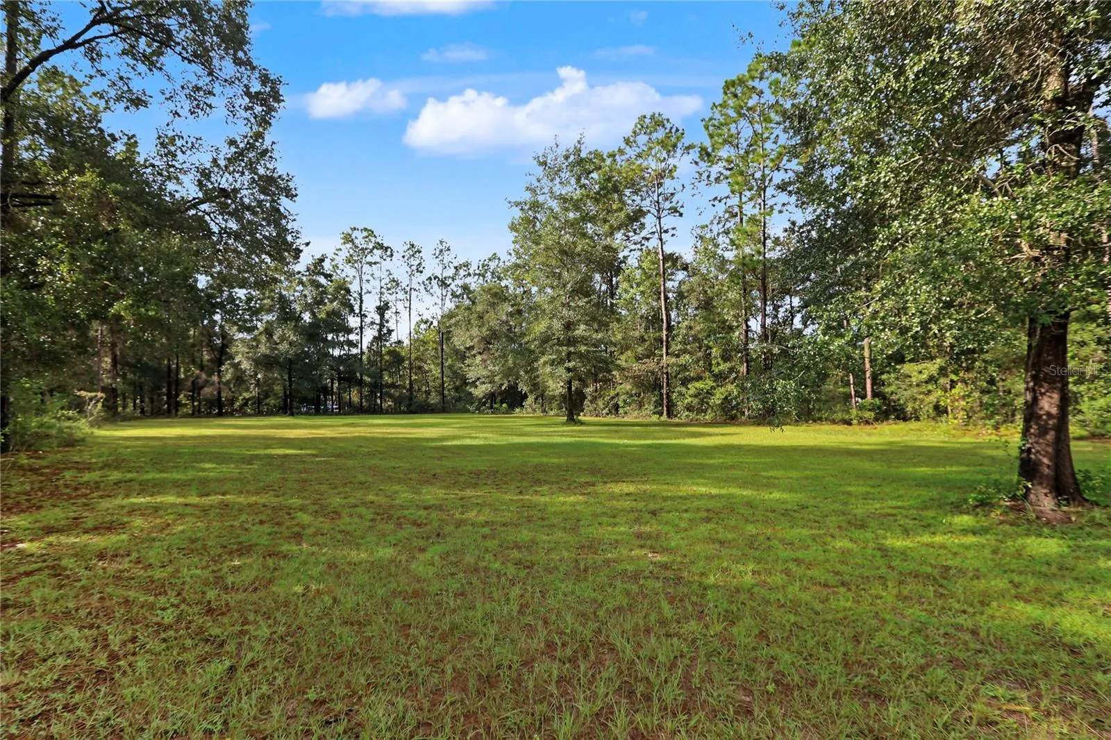 Pasture