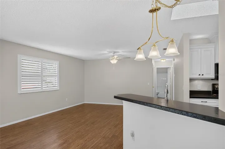 KITCHEN - Raised counter overlooks the adjoining living area.
