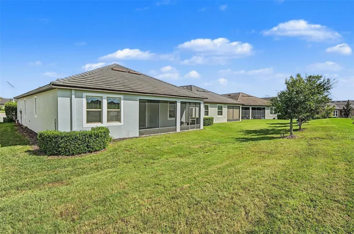 Large Backyard