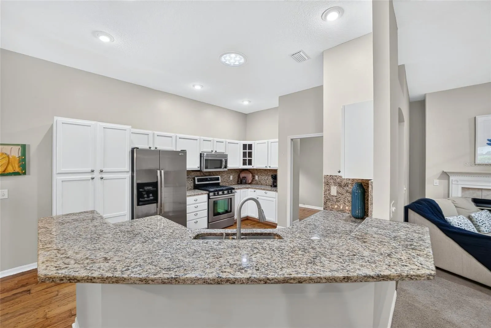 Kitche to the great room