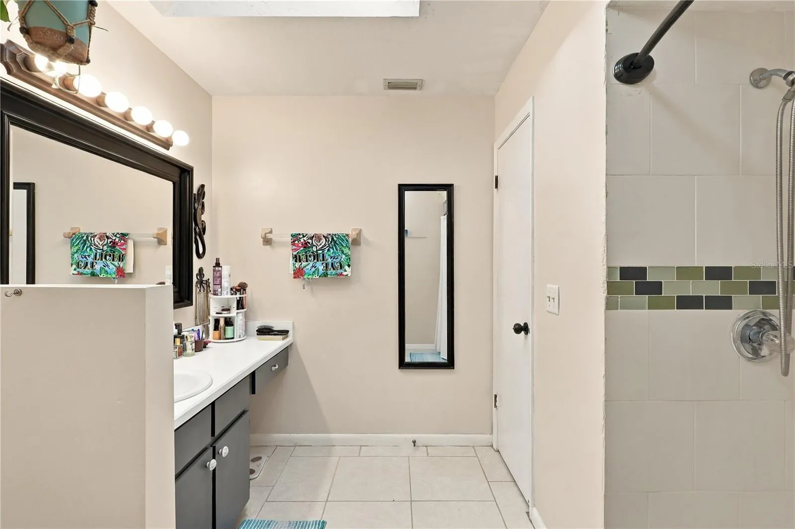 Master Bathroom, Stand-Up Shower, 1 Sink, Large Mirror and Small Vanity Area.