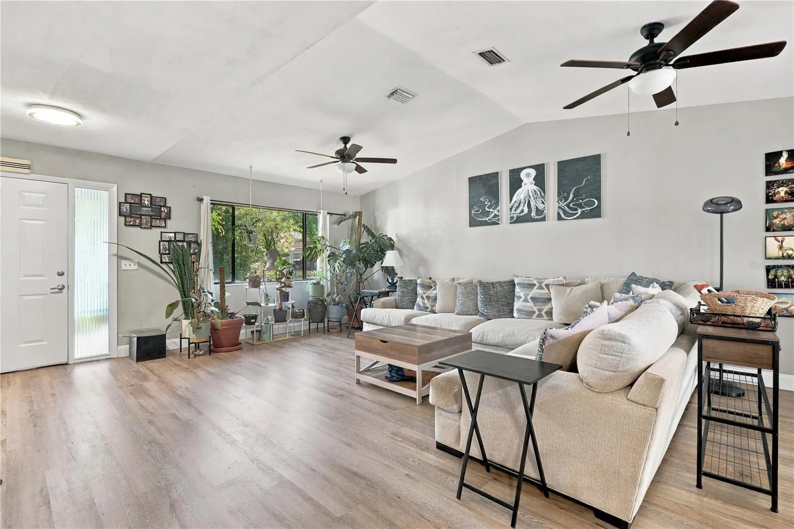 Front Entrance into Living Room, Lots of Natural Sunlight