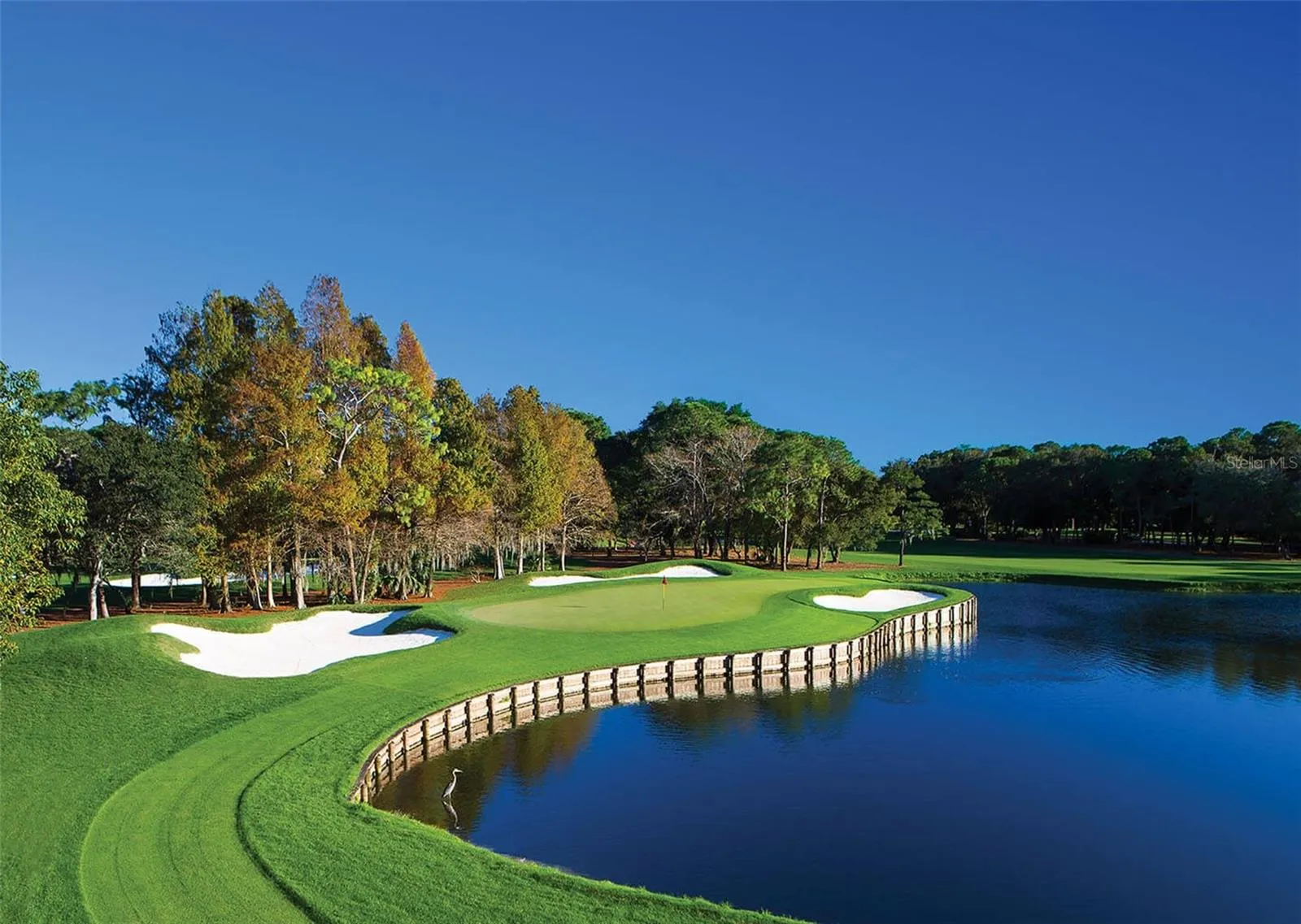 NEARBY INNISBROOK GOLF RESORT PLUS SEVERAL AREA GOLF COURSES