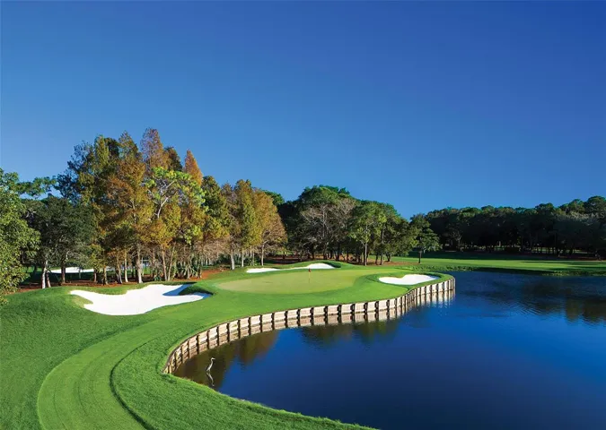 NEARBY INNISBROOK GOLF RESORT PLUS SEVERAL AREA GOLF COURSES
