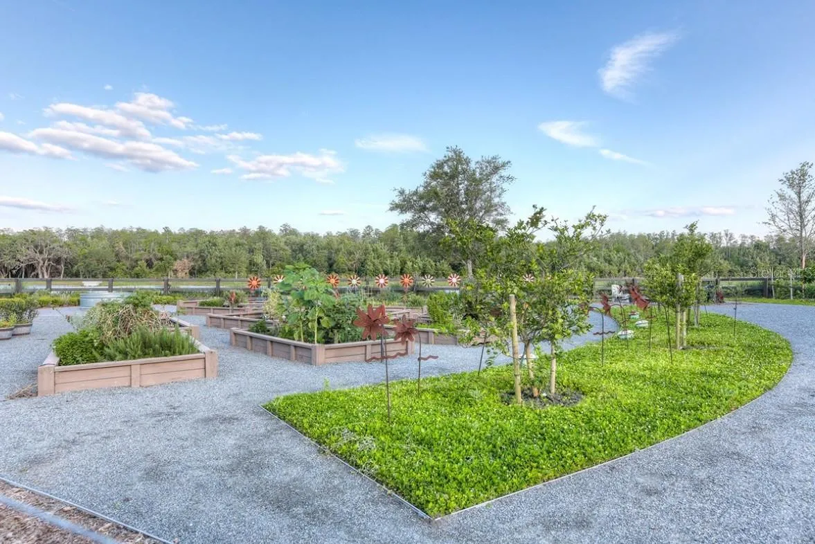 Community Amenities