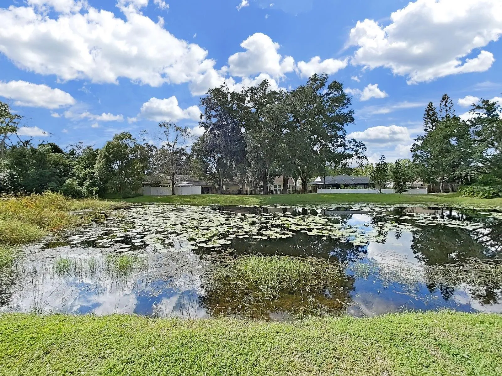 One of Two Ponds Across the Street