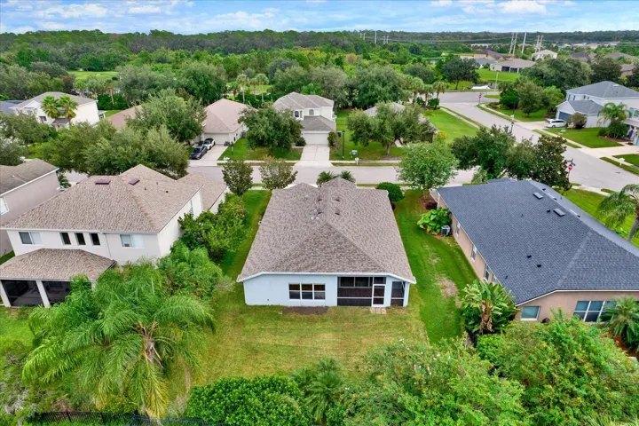 Serene Neighborhood