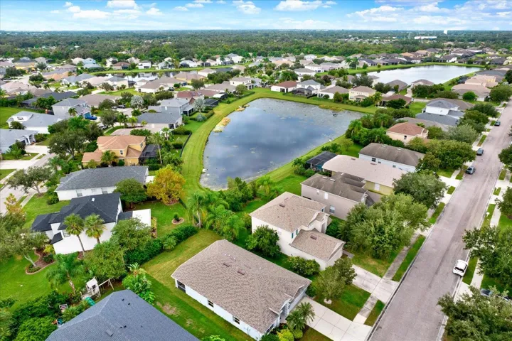 Serene Neighborhood