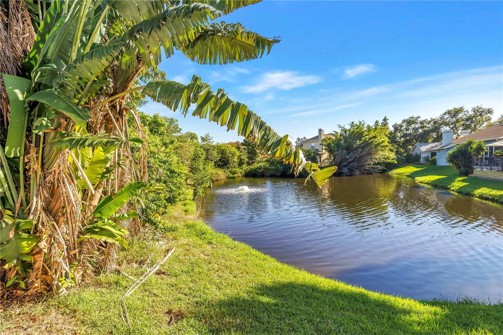 Beautiful neighborhood pond featuring a scenic water fountain.