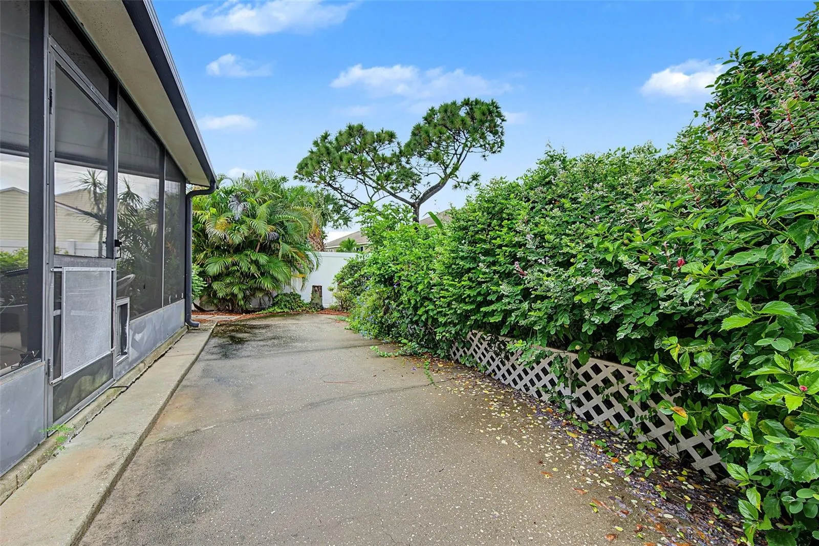 Fenced Backyard with Patio