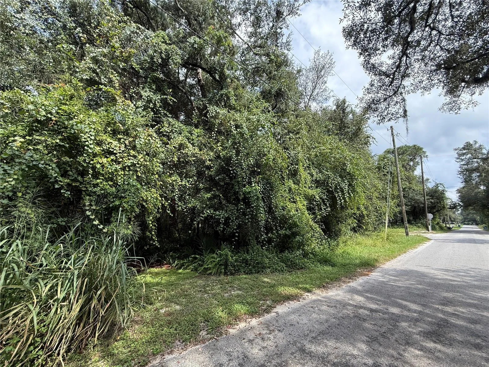 100 ft frontage Central Ave