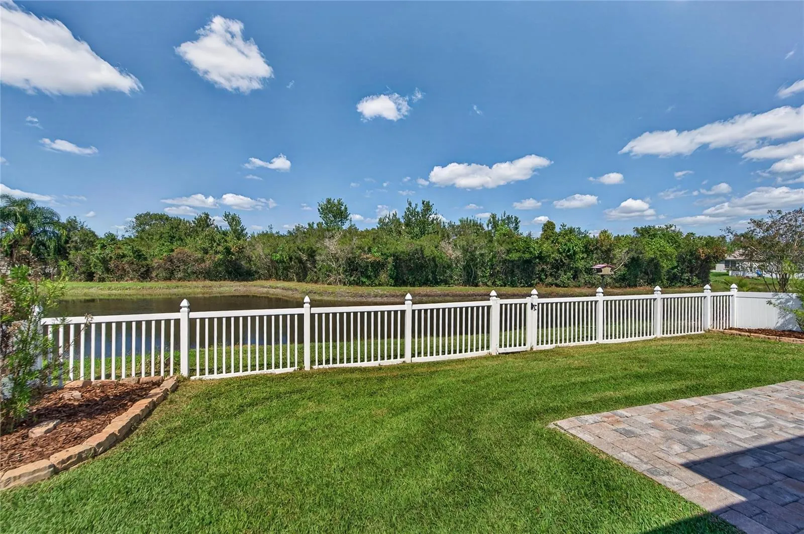 BACKYARD VIEW
