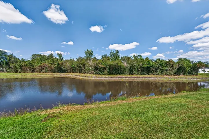 YOUR BACKYARD POND
