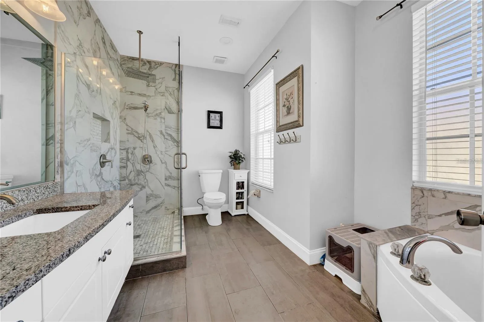Large En Suite Primary Bathroom