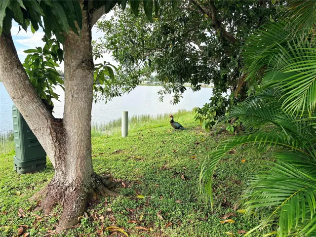 lake view
