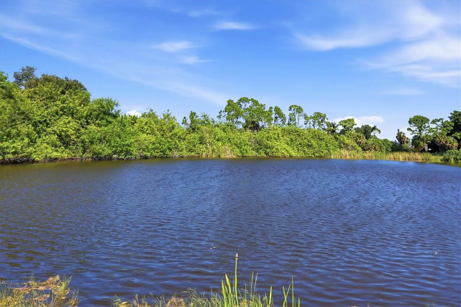 The Lake
