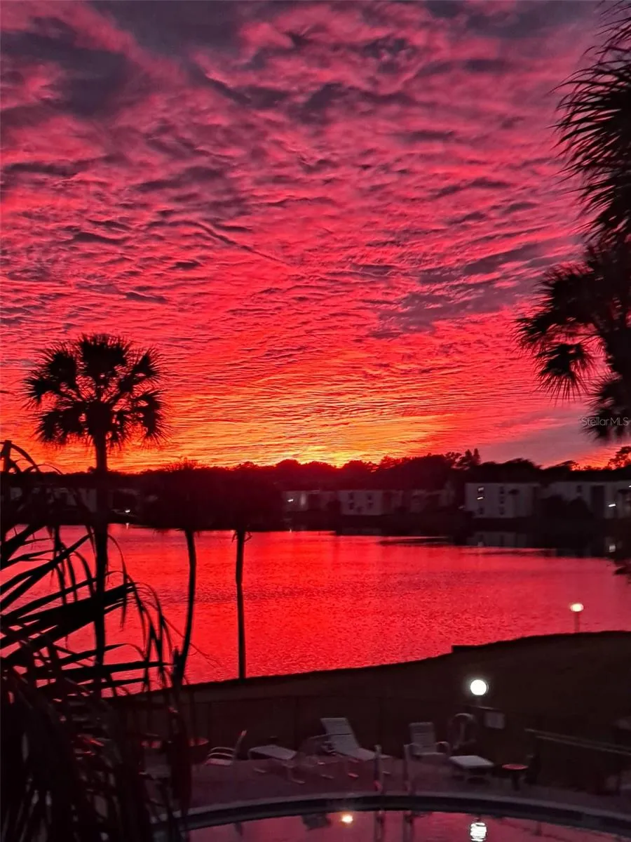 Actual Sunsets taken by seller