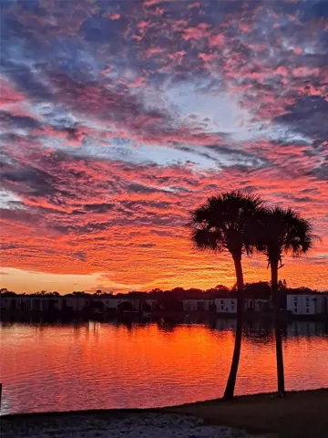 Actual sunset taken by seller