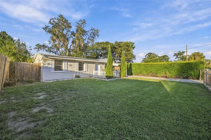 Backyard