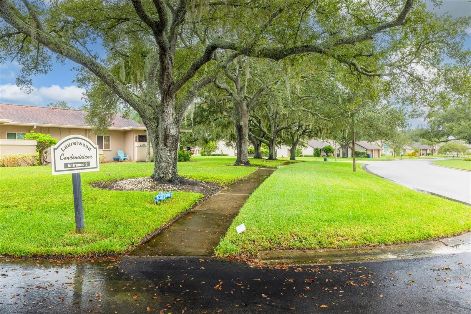 Sidewalk View