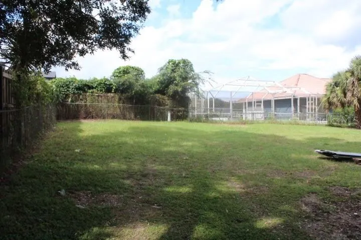 Back Yard