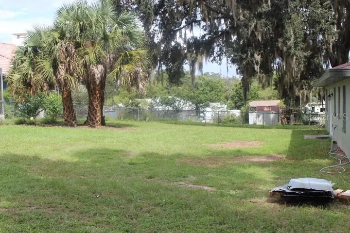 Back Yard