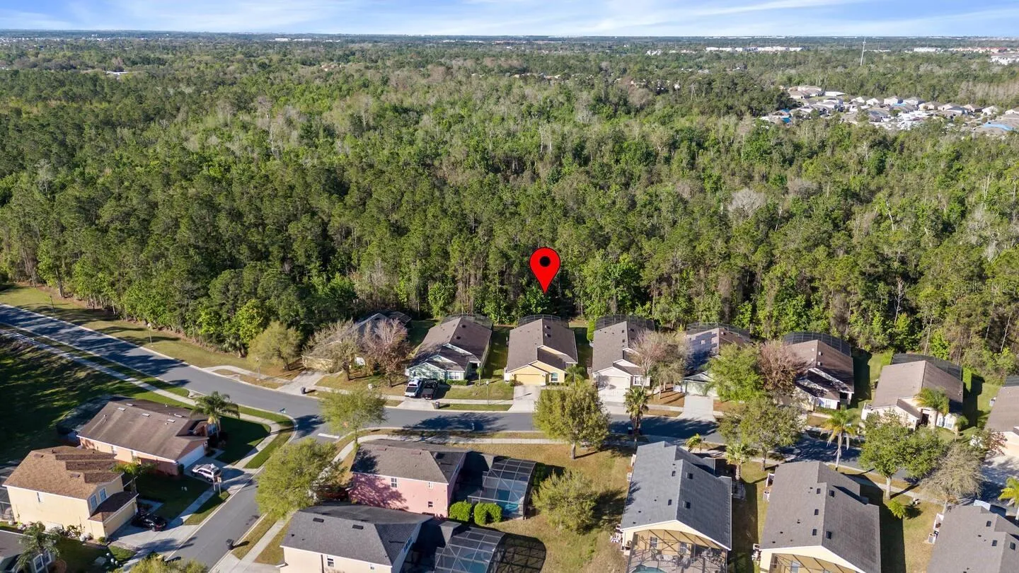 Drone view