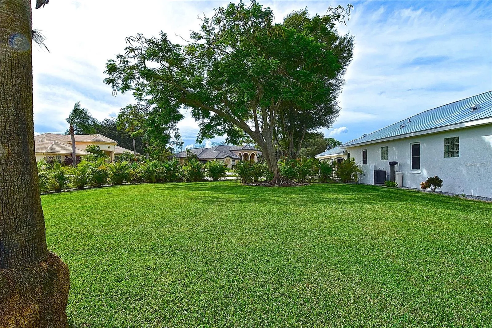 Side yard