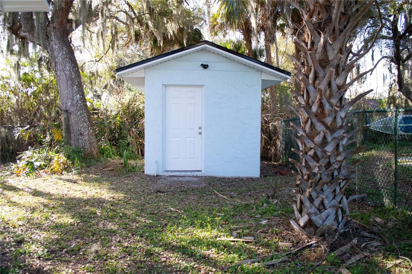 rear shed