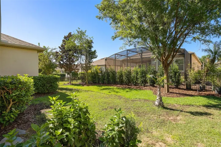 Rear Fully Fenced Yard with a Podocarpus Hedge