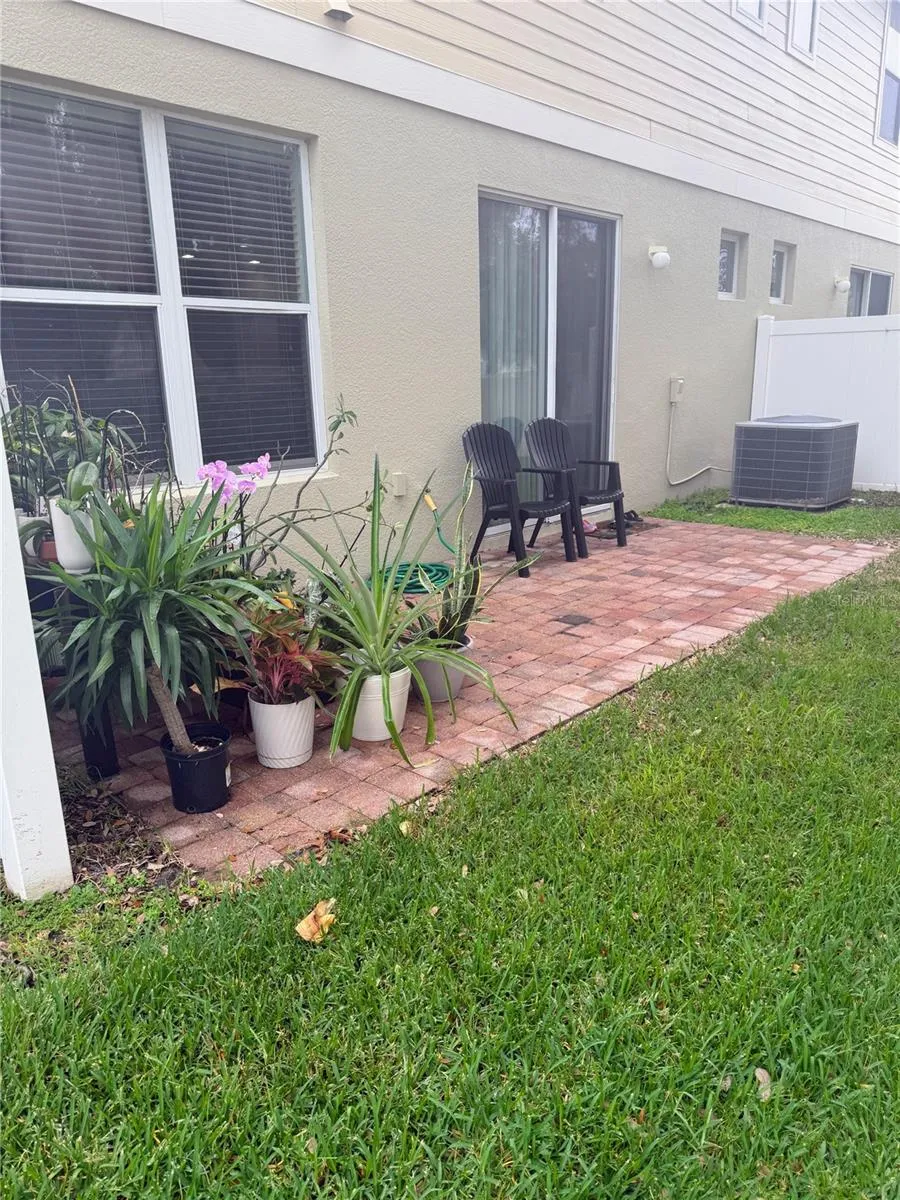 Back Patio
