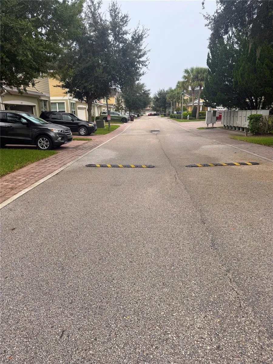 Street in Neighborhood