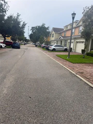 Street in Neighborhood