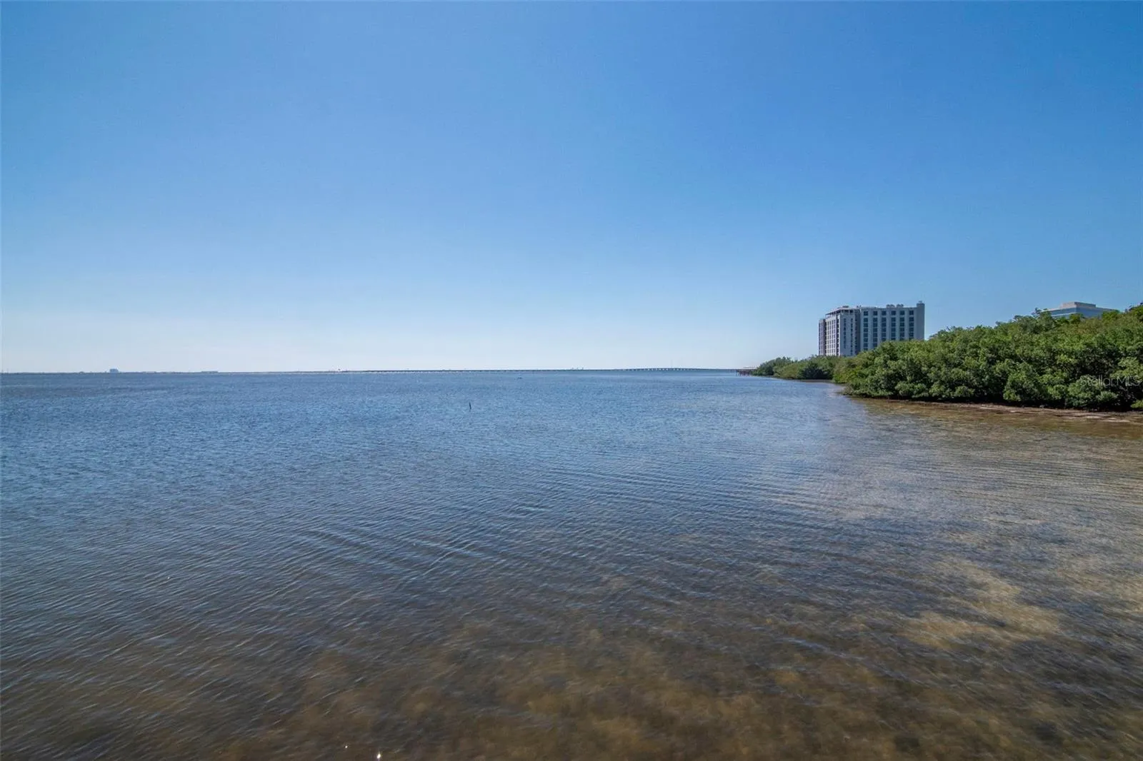 View from Dock to South