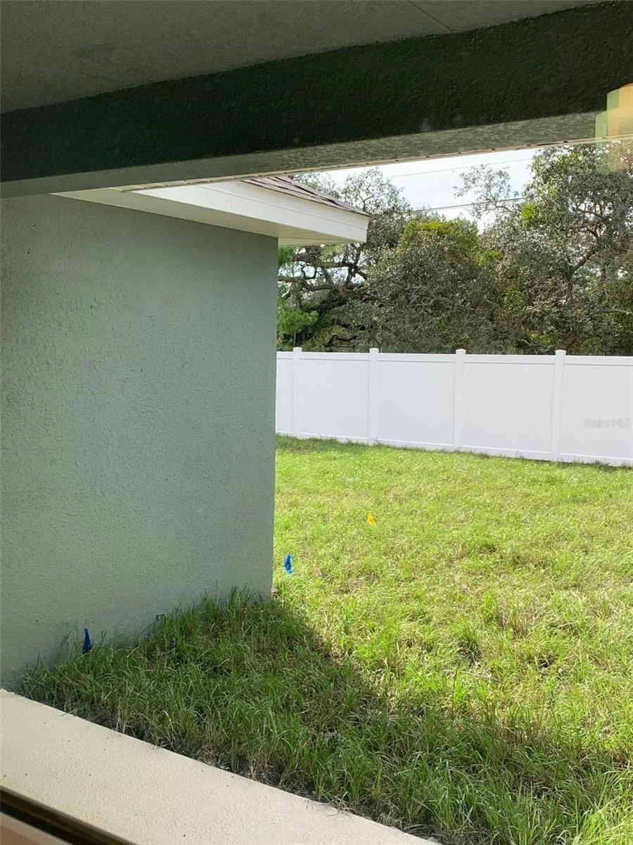 Back patio/yard