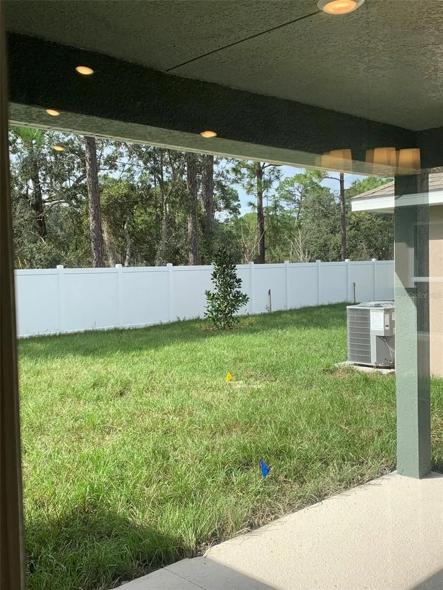 Back patio/yard